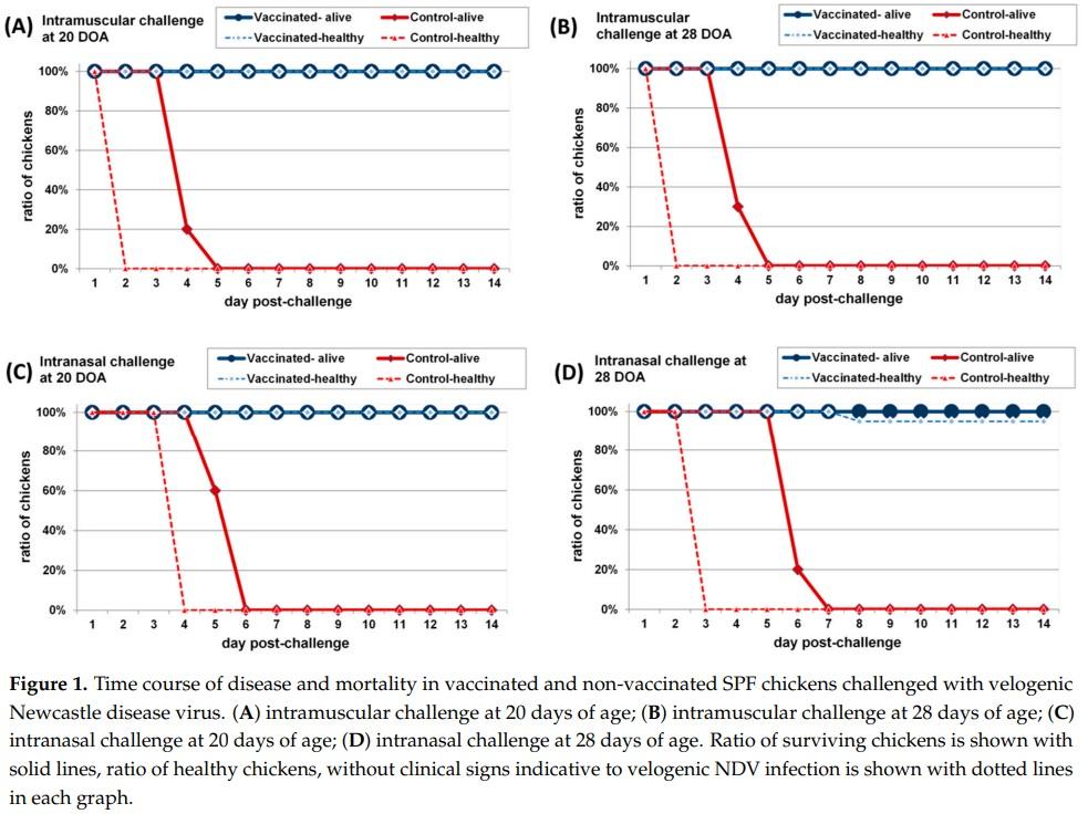 Efficacy of a Turkey Herpesvirus Vectored Newcastle Disease Vaccine against Genotype VII.1.1 Virus: Challenge Route Affects Shedding Pattern - Image 5