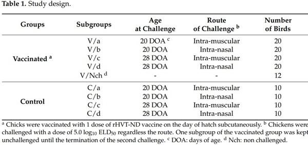 Efficacy of a Turkey Herpesvirus Vectored Newcastle Disease Vaccine against Genotype VII.1.1 Virus: Challenge Route Affects Shedding Pattern - Image 1