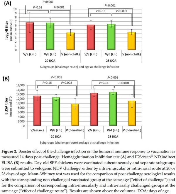 Efficacy of a Turkey Herpesvirus Vectored Newcastle Disease Vaccine against Genotype VII.1.1 Virus: Challenge Route Affects Shedding Pattern - Image 6