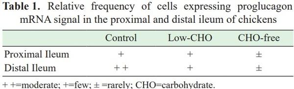 Dietary carbohydrate modifies the density of L cells in the chicken ileum - Image 4