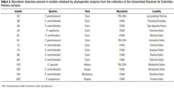 Detection of mycotoxins produced by Fusarium species in Colombia - Image 2