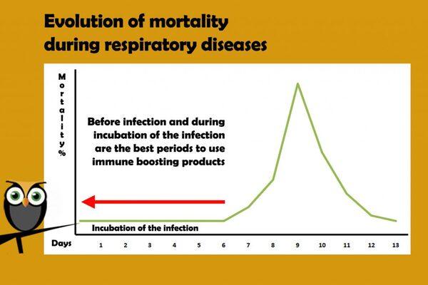 Respiratory diseases are scary, but essential oils can help! - Image 1