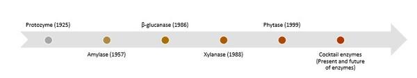 Technological advancement in poultry and livestock enzymes - Image 5
