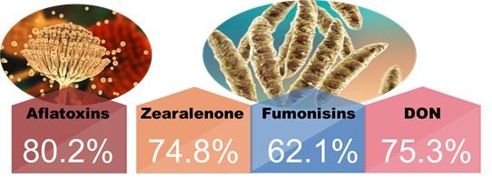 Mycotoxins annual survey of mycotoxin in feed in 2021 Taiwan - Image 2