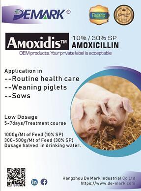 APIs and Vitamin MARKET - Image 1