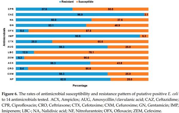 Multi-Drug Resistant Escherichia coli, Biosecurity and Anti-Microbial Use in Live Bird Markets, Abeokuta, Nigeria - Image 12