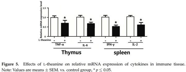 Influence of Graded Levels of L-Theanine Dietary Supplementation on Growth Performance, Carcass Traits, Meat Quality, Organs Histomorphometry, Blood Chemistry and Immune Response of Broiler Chickens - Image 11