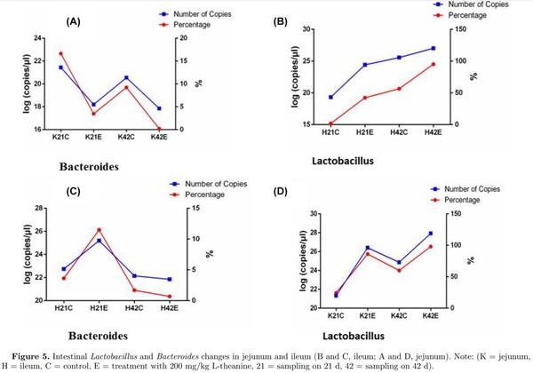 16S ribosomal RNA sequencing reveals a modulation of intestinal microbiome and immune response by dietary L-theanine supplementation in broiler chickens - Image 7