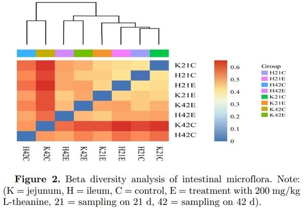 16S ribosomal RNA sequencing reveals a modulation of intestinal microbiome and immune response by dietary L-theanine supplementation in broiler chickens - Image 4