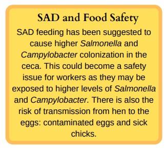Welfare Aspects of Broiler Breeder Feeding Regimes - Image 6