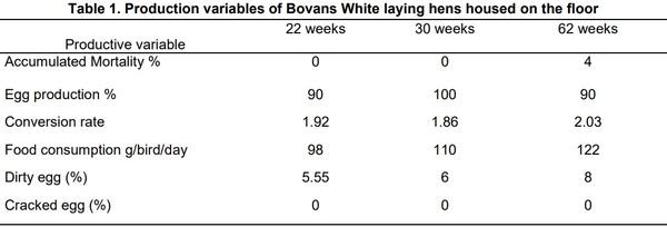 Animal welfare evaluation in Bovans White laying hens on floor housing - Image 1