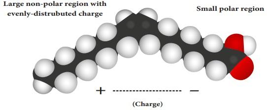 Fat Digestion and Absorption Analysis by Employing Different Kind of Emulsifiers in Broilers - Image 5