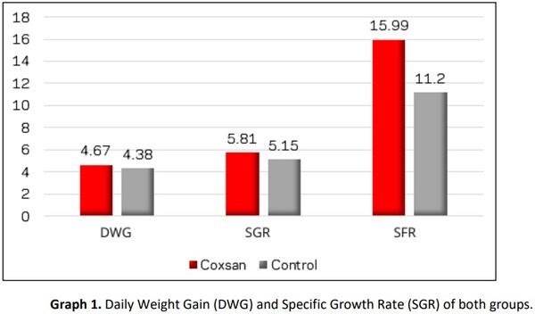 Carvacrol, Thymol and Allicin (Coxsan®) Evaluation in Tilapia (Oreochromis Sp.) - Image 5