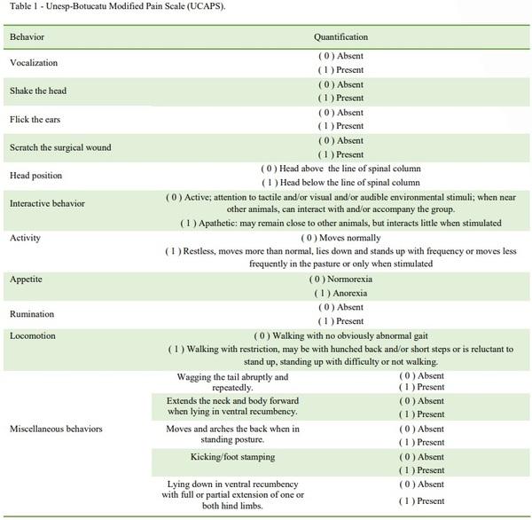 The analgesic effect of preventive administration of meloxicam in calves submitted to hot-iron dehorning - Image 1
