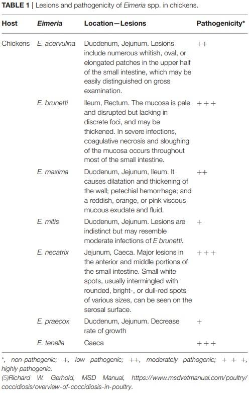 Overview of Poultry Eimeria Life Cycle and Host-Parasite Interactions - Image 1