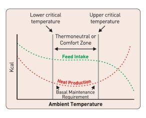 Block the Summer Shock by Nutritional Intervention - Image 3