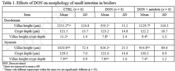 An impact of Deoxynivalenol produced by Fusarium graminearum on broiler chickens - Image 2
