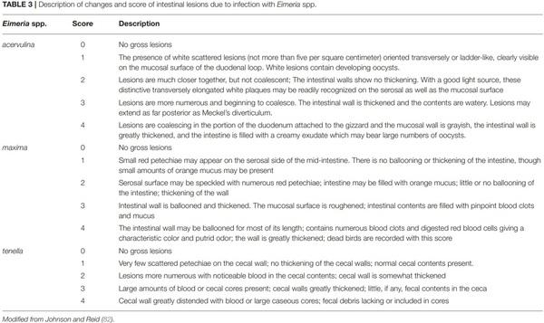 Chicken Coccidiosis: From the Parasite Lifecycle to Control of the Disease - Image 5