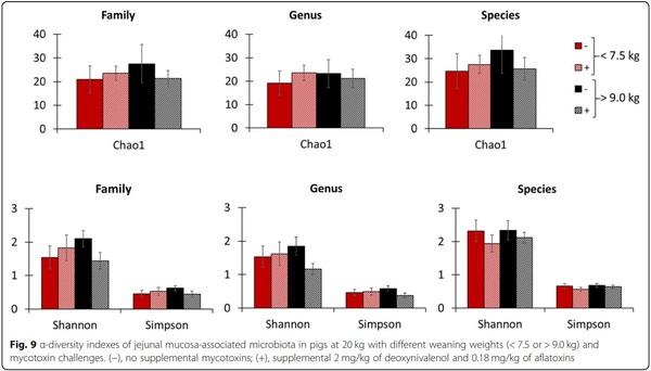 Impacts of weaning weights and mycotoxin challenges on jejunal mucosa-associated microbiota, intestinal and systemic health, and growth performance of nursery pigs - Image 15