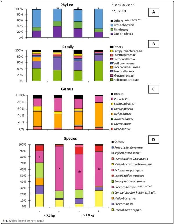 Impacts of weaning weights and mycotoxin challenges on jejunal mucosa-associated microbiota, intestinal and systemic health, and growth performance of nursery pigs - Image 16