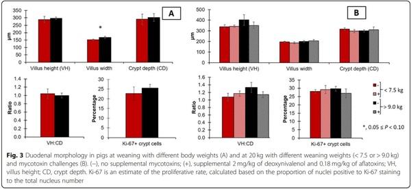 Impacts of weaning weights and mycotoxin challenges on jejunal mucosa-associated microbiota, intestinal and systemic health, and growth performance of nursery pigs - Image 9