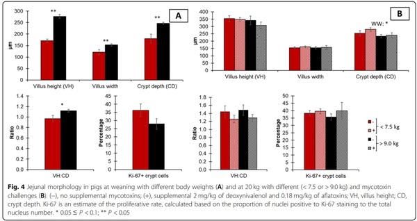 Impacts of weaning weights and mycotoxin challenges on jejunal mucosa-associated microbiota, intestinal and systemic health, and growth performance of nursery pigs - Image 10
