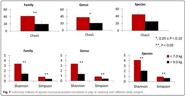 Impacts of weaning weights and mycotoxin challenges on jejunal mucosa-associated microbiota, intestinal and systemic health, and growth performance of nursery pigs - Image 13