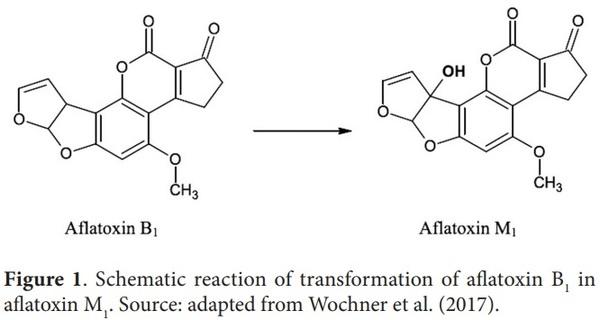 Influence of grains postharvest conditions on mycotoxins occurrence in milk and dairy products - Image 4