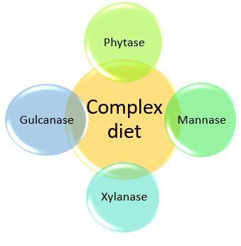 “NSP Enzymes” Securing the future - Image 1