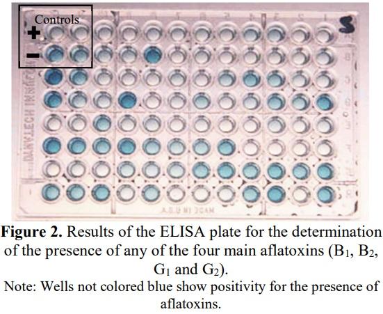 Determination of fungi and their aflatoxins in embryonated eggs a production batch - Image 4