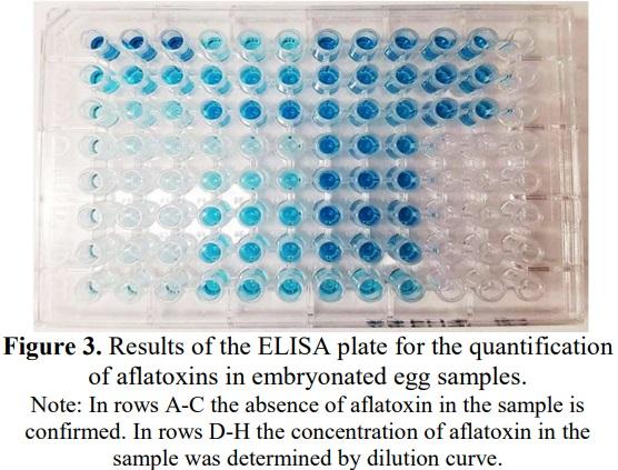 Determination of fungi and their aflatoxins in embryonated eggs a production batch - Image 5