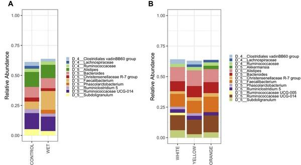 Orange corn diets associated with lower severity of footpad dermatitis in broilers - Image 7