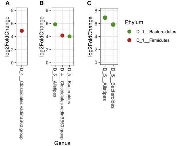 Orange corn diets associated with lower severity of footpad dermatitis in broilers - Image 9