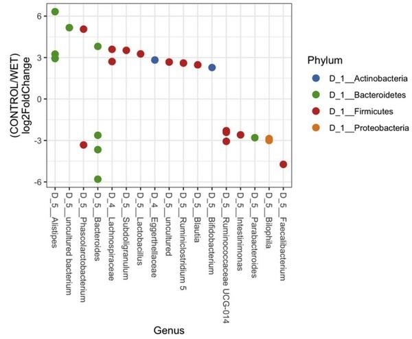 Orange corn diets associated with lower severity of footpad dermatitis in broilers - Image 8