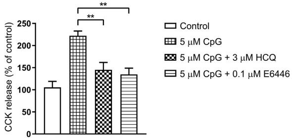 Toll-like receptor 9 expressed in proximal intestinal enteroendocrine cells detects bacteria resulting in secretion of cholecystokinin - Image 3