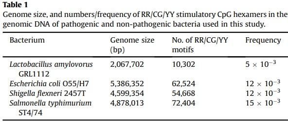 Toll-like receptor 9 expressed in proximal intestinal enteroendocrine cells detects bacteria resulting in secretion of cholecystokinin - Image 5