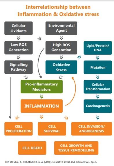 Free Radicals, Inflammation and it