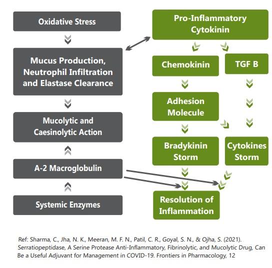 Free Radicals, Inflammation and it