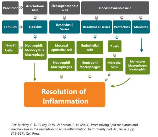 Free Radicals, Inflammation and it