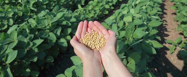 Life Cycle Assessment (LCA) Feed Solutions Increase Sustainability - Image 1