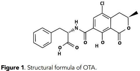Determination of ochratoxin A in coffee by ELISA method and its relationship with the physical, physicochemical and microbiological properties - Image 1