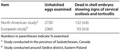 Cervical scoliosis and torticollis: a novel skeletal anomaly in broiler chickens - Image 4