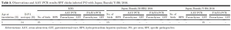 Research Note: Molecular and pathologic characterization of avian adenovirus isolated from the oviducts of laying hens in eastern Japan - Image 7