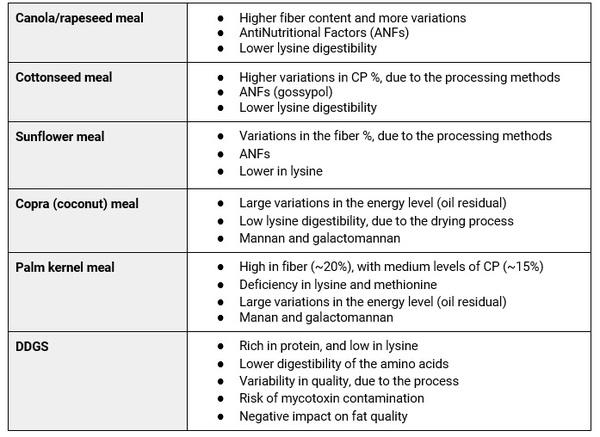 Volatility: challenges in animal feeding - Image 2