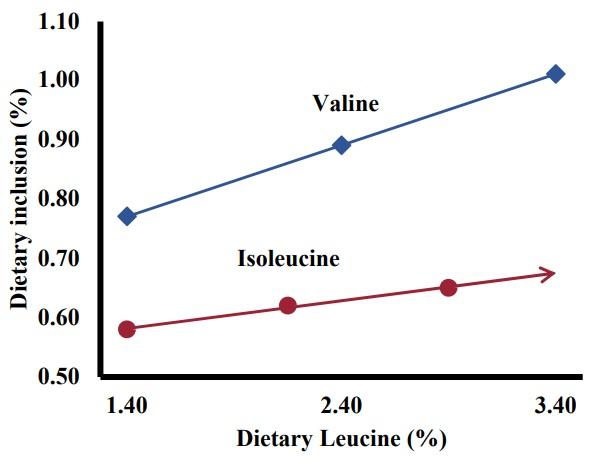 Assessing Dietary Branched-Chain Amino Acids to Achieve Linear Programming Goals through Model Extrapolation and Empirical Research - Image 2