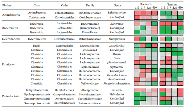 Figure 5: Effects of tannins and bacitracin in the relative abundance of different bacterial groups of cecal microbiota over time. The heatmap in the right depicts the changes in the relative abundance of each of the taxa with respect to that observed in the control group (green: increased abundance; red: decreased abundance). Cells boxed with thick lines indicate statistically significant changes detected with STAMP.