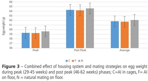 Effects of Different Mating Strategies on Productive Performance, Bird Welfare and Economic Appraisal of Broiler Breeder under Two Production Systems - Image 6