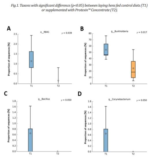 A multi-strain probiotic modulates the oviduct tract microbiota of laying hens - Image 1