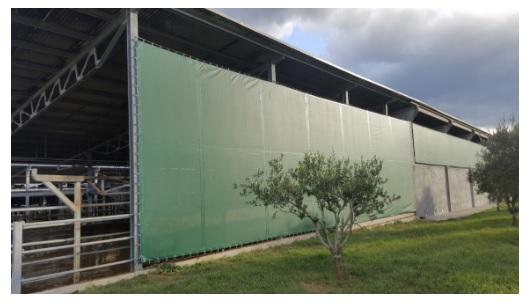 Protection from direct and indirect solar radiation - an important factor for dairy cows in summer - Image 7