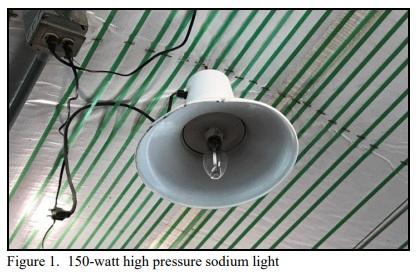 Breeder House Lighting System Retrofit - Image 1